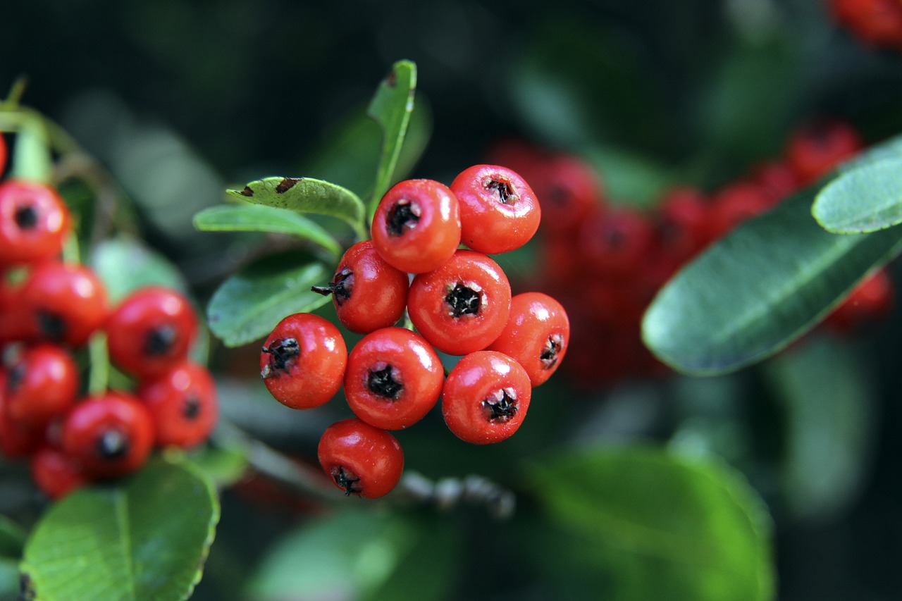 球探体育:欧洲世预赛欧洲首轮,凯恩和莱万均有进球。.